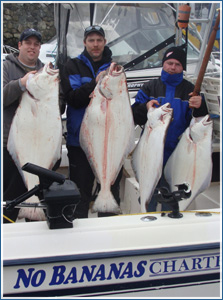 Halibut fishing charters with No Bananas on Vancouver Island