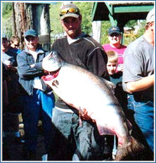 Big salmon are caught with No Bananas Fishing Charters